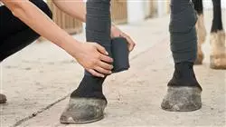 ##IMAGE##