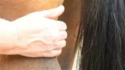 ##IMAGE##