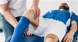 curso online prescripcion programacion entrenamiento fuerza fisioterapeutas Tech Universidad
