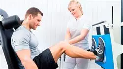 especializacion online prescipcion metodologia bases entrenamiento fuerza