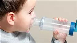 ##IMAGE##