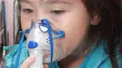 ##IMAGE##