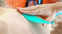 ##IMAGE##