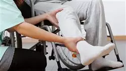##IMAGE##