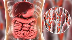 curso acreditado microbiota microbioma fisioterapeutas