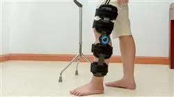 ##IMAGE##