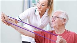 posgrado semipresencial fisioterapia geriatria