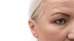 ##IMAGE##