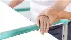 ##IMAGE##