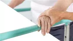 ##IMAGE##