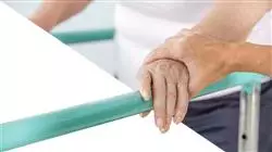 ##IMAGE##