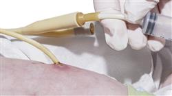 master dietoterapia fi