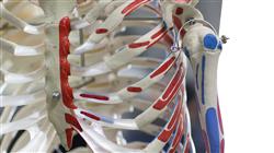 experto bioinformatica big data medicina