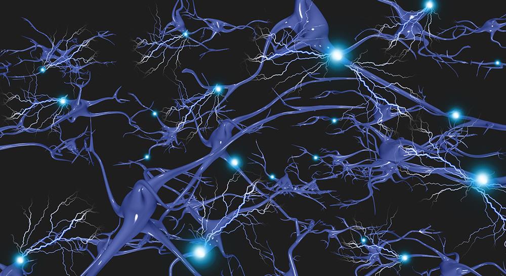 experto neuroeducacion practicas motrices Tech Universidad
