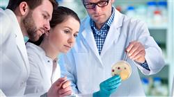 maestria microbiota humana