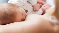 ##IMAGE##