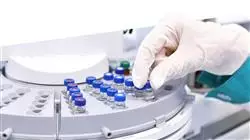 ##IMAGE##