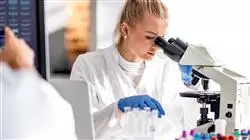 ##IMAGE##