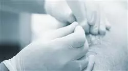 ##IMAGE##