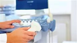##IMAGE##