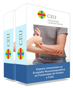 courseInfo