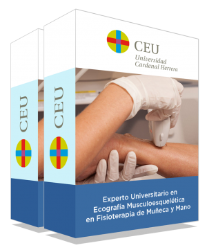 courseInfo