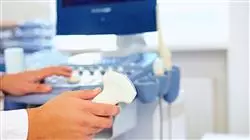 ##IMAGE##