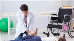##IMAGE##