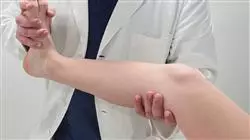 ##IMAGE##