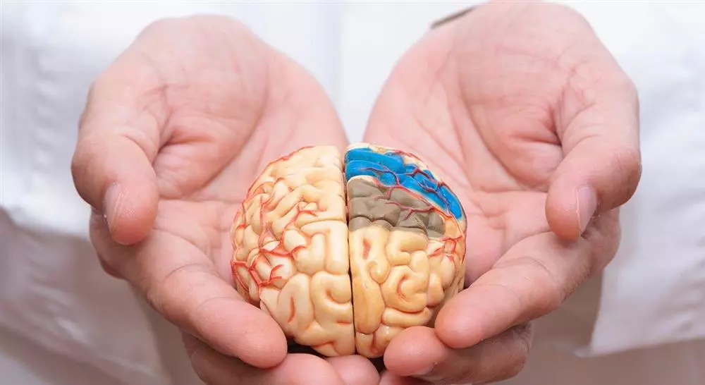 curso online valoración del daño cerebral adquirido para fisioterapia