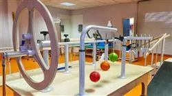 cursos aplicacion dispositivos ayudas autonomia fisioterapia