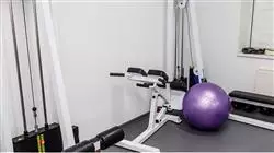 posgrado fisioterapia dolor envejecimiento