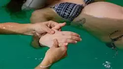 ##IMAGE##