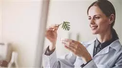 ##IMAGE##