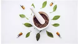 diplomado online principios activos plantas formas farmaceuticas preparados galenicos