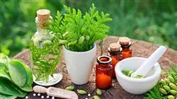posgrado principios activos plantas formas farmaceuticas preparados galenicos