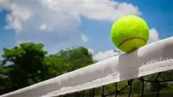 ##IMAGE##