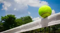 ##IMAGE##