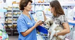 curso online nutrición y alimentación de caninos y felinos para nutricionistas