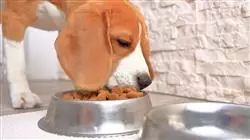 ##IMAGE##