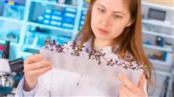 ##IMAGE##