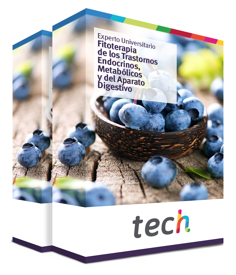 especializacion fitoterapia trastornos endocrinos metabolicos aparato digestivo caja