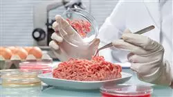 ##IMAGE##