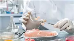 ##IMAGE##