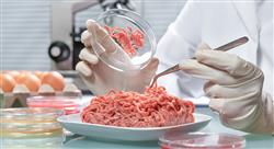 especializacion online gestion inocuidad alimentaria