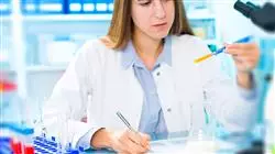 ##IMAGE##