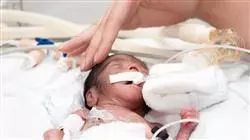 ##IMAGE##