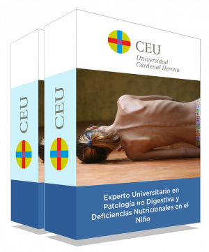 courseInfo
