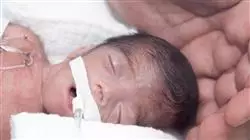 ##IMAGE##