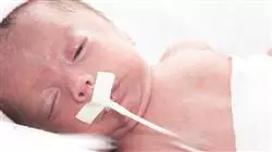 ##IMAGE##